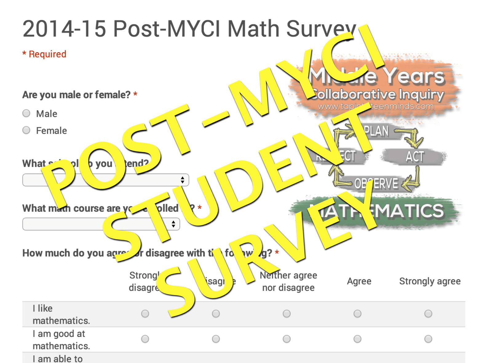 Post-MYCI Mathematics Survey