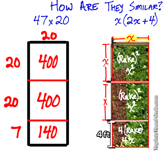 Comparing Simple Multiplication with Area and an Unknown