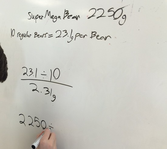 Super Bear Problem Solving Student Exemplar - Will