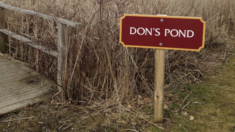 Don’s Pond