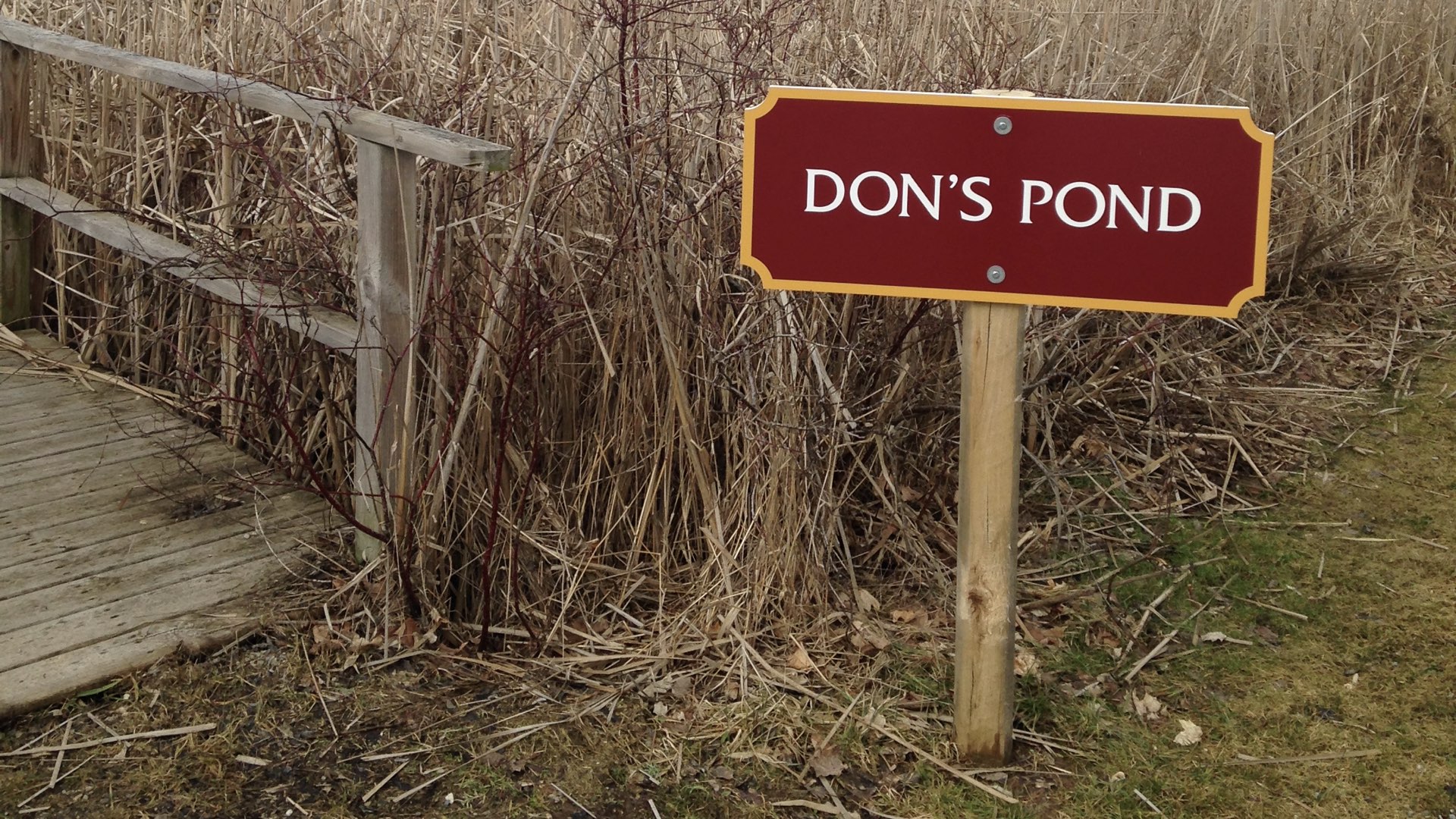 Don's Pond | 3 Act Math Task to Spark Curiosity