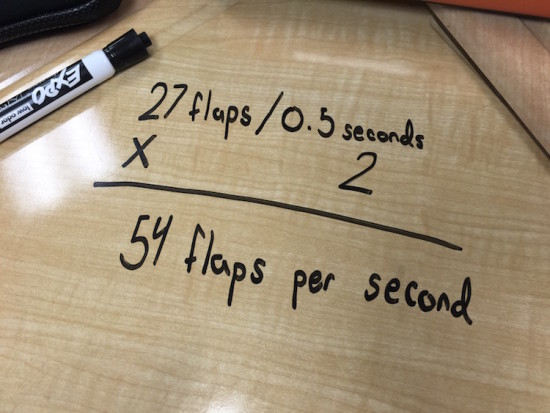 Monday - Flaps Student Exemplar Number of Flaps Per Second